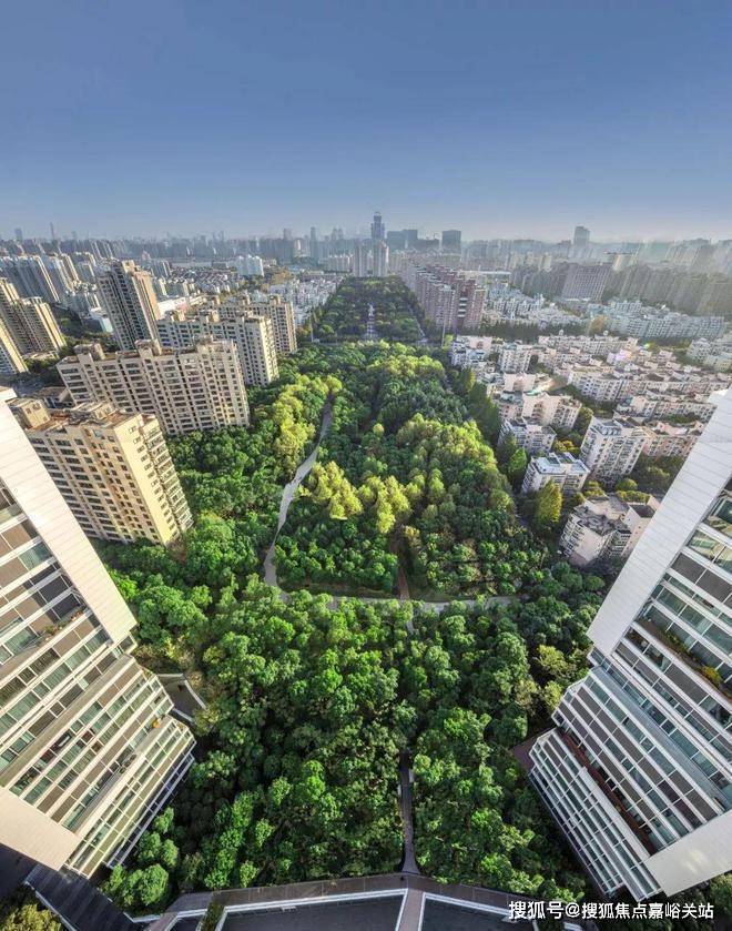聚焦◈中鹰黑森林官方售楼处官方发布：问鼎楼市天花板(图4)