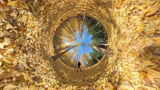 Ai✦热搜楼盘｜中建·运河玖院官方售楼处发布启幕鼎级尊邸奢境(图21)