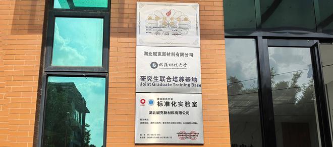 从施工到环保瓷砖胶十大品牌如何应对绿色建材需求的增长？