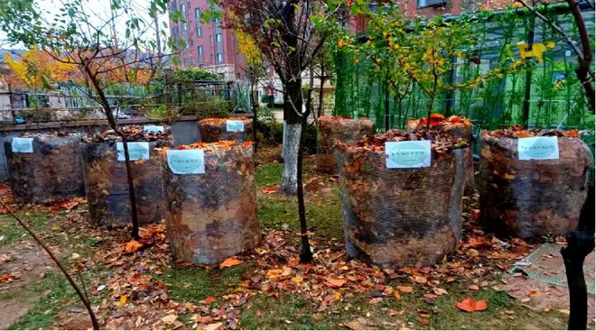 清华大学气候变化研究院发布物业行业首份碳中和报告2045年瞄准社区净零排放(图3)