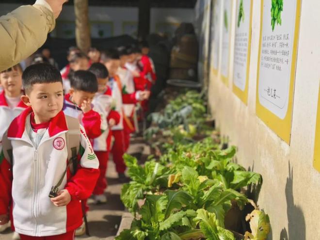 分级定制研学有“谱”：“秋日课堂”为孩子搭建真实的成长阶梯(图1)
