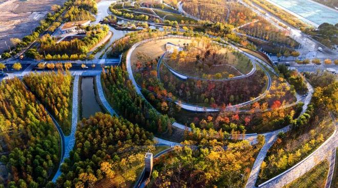 官方聚焦普陀金茂府官方售楼处发布：普陀金茂府首府豪宅封面宝座(图4)