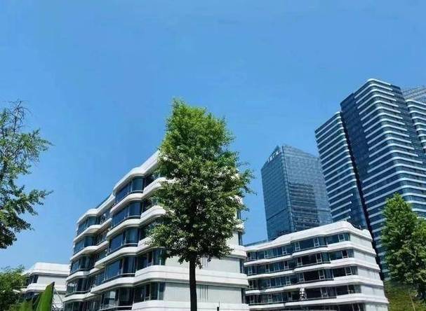 今日官方发布!园区湖畔瑞园售楼处官方发布：定义艺术人文大宅(图3)