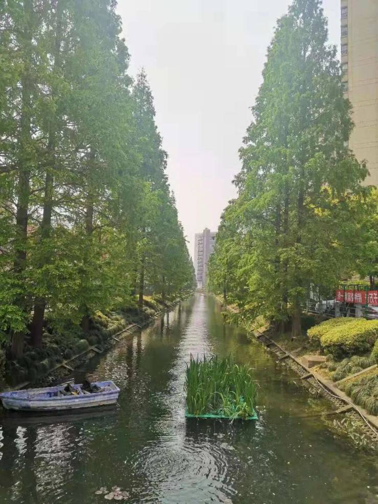 【古北99别墅】官方认证售楼处地址【古北99别墅】官方专属咨询热线_免费看房预约_售楼处电话_楼盘资料首发(图11)