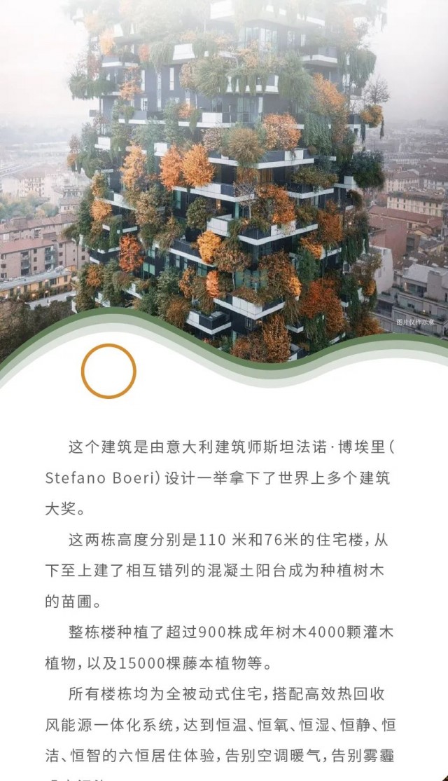 远信储能二闯港交所：营收高增背后现金流与客户集中度藏风险(图1)
